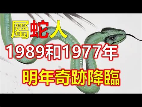 1989屬蛇幸運色|【1989蛇幸運色】【1989蛇幸運色大公開】屬蛇穿什麼顏色旺整。